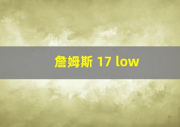 詹姆斯 17 low